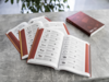 acv Gesamtkatalog 2024 deutsch