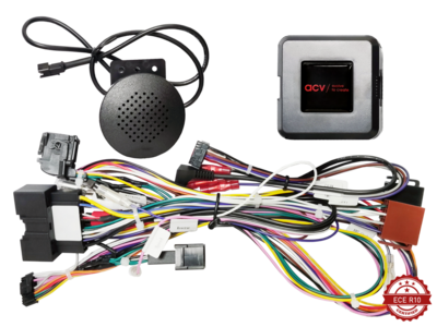 LFB Ford Fiesta 06/2010-09/2012 24Pin/Display Multilead 