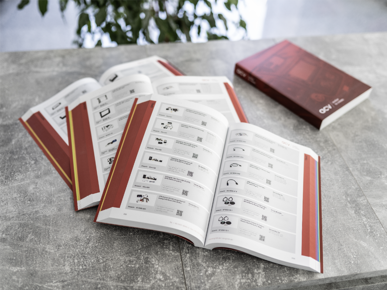 acv Gesamtkatalog 2024 deutsch